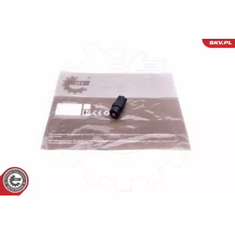 Interrupteur de signal de détresse ESEN SKV 36SKV718