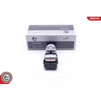 Interrupteur, lève-vitre ESEN SKV