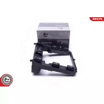 Interrupteur, lève-vitre ESEN SKV