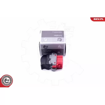 Interrupteur, lève-vitre ESEN SKV