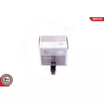 Interrupteur, lève-vitre ESEN SKV