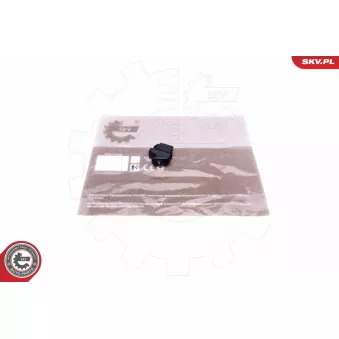 Interrupteur, lève-vitre ESEN SKV
