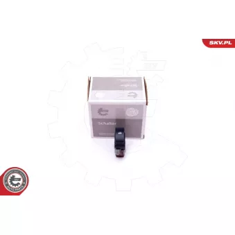 Interrupteur, lève-vitre ESEN SKV