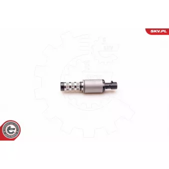 Valve de commande, réglage d'arbres à came ESEN SKV 39SKV001