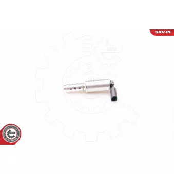 Valve de commande, réglage d'arbres à came ESEN SKV