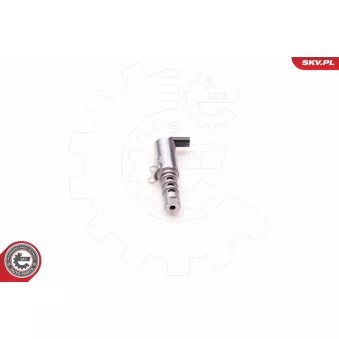 Valve de commande, réglage d'arbres à came ESEN SKV 39SKV011