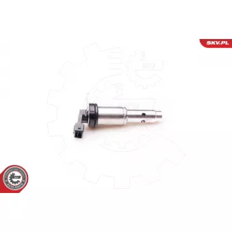 Valve de commande, réglage d'arbres à came ESEN SKV 39SKV012