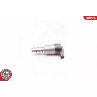 Valve de commande, réglage d'arbres à came ESEN SKV