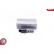 Valve de commande, réglage d'arbres à came ESEN SKV 39SKV017 - Visuel 1