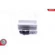 Valve de commande, réglage d'arbres à came ESEN SKV 39SKV024 - Visuel 1