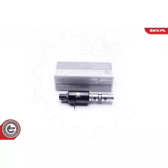 Valve de commande, réglage d'arbres à came ESEN SKV 39SKV024