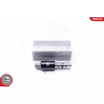 Valve de commande, réglage d'arbres à came ESEN SKV 39SKV025