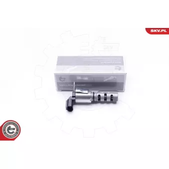 Valve de commande, réglage d'arbres à came ESEN SKV