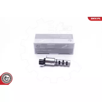 Valve de commande, réglage d'arbres à came ESEN SKV