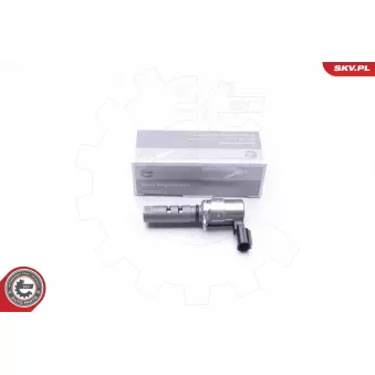 Valve de commande, réglage d'arbres à came ESEN SKV 39SKV035