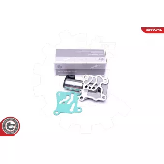Valve de commande, réglage d'arbres à came ESEN SKV 39SKV046