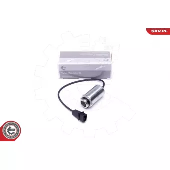 Valve de commande, réglage d'arbres à came ESEN SKV 39SKV048