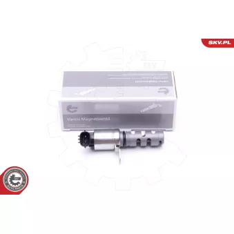 Valve de commande, réglage d'arbres à came ESEN SKV 39SKV049