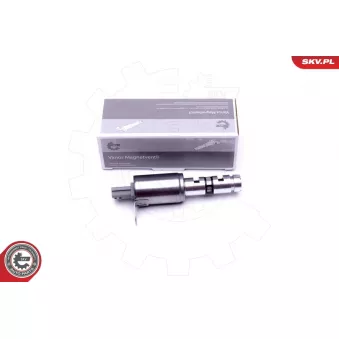 Valve de commande, réglage d'arbres à came ESEN SKV 39SKV053