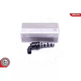 Valve de commande, réglage d'arbres à came ESEN SKV 39SKV062
