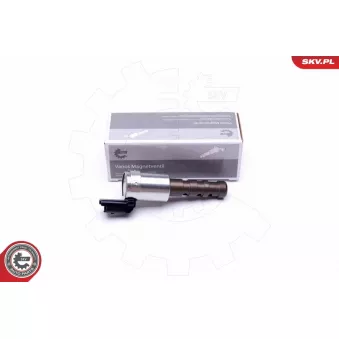 Valve de commande, réglage d'arbres à came ESEN SKV 39SKV064