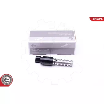 Valve de commande, réglage d'arbres à came ESEN SKV 39SKV065