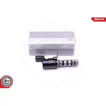 Valve de commande, réglage d'arbres à came ESEN SKV 39SKV066