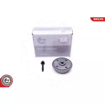 Dispositif de réglage électrique d'arbre à cames ESEN SKV 39SKV500