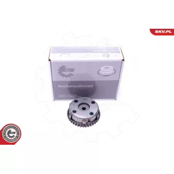 Dispositif de réglage électrique d'arbre à cames ESEN SKV 39SKV501