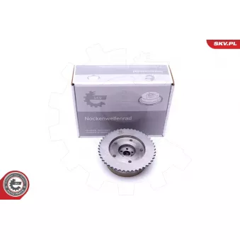 Dispositif de réglage électrique d'arbre à cames ESEN SKV 39SKV502