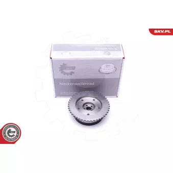 Dispositif de réglage électrique d'arbre à cames ESEN SKV 39SKV503