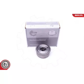 Dispositif de réglage électrique d'arbre à cames ESEN SKV 39SKV504