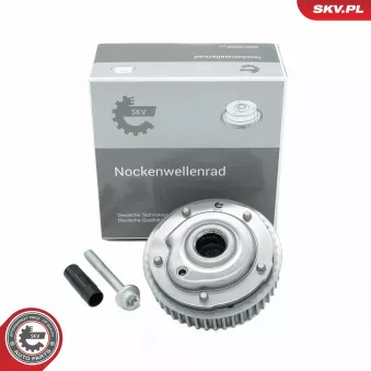 Dispositif de réglage électrique d'arbre à cames ESEN SKV 39SKV510