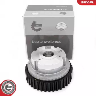 Dispositif de réglage électrique d'arbre à cames ESEN SKV 39SKV511