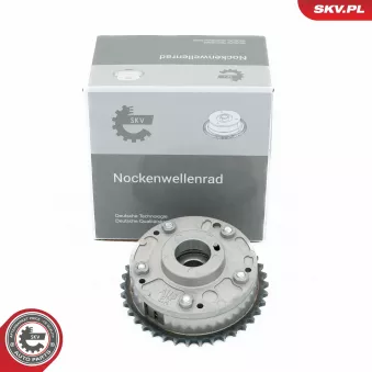 Dispositif de réglage électrique d'arbre à cames ESEN SKV 39SKV514