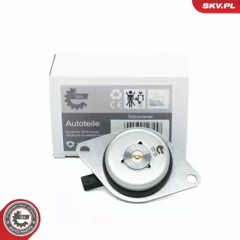 Unité magnétique centrale, réglage d'arbres à came ESEN SKV 39SKV902