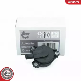 Unité magnétique centrale, réglage d'arbres à came ESEN SKV 39SKV903