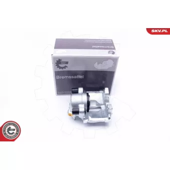 Étrier de frein arrière gauche ESEN SKV 42SKV163