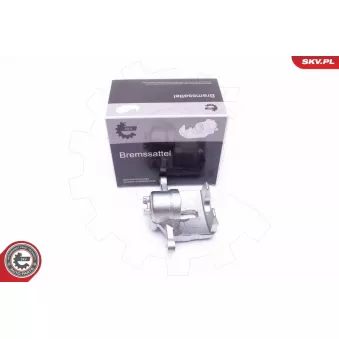 Étrier de frein arrière gauche ESEN SKV 42SKV473