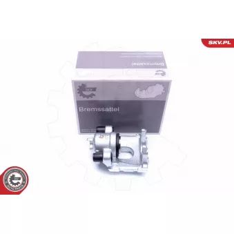 Étrier de frein arrière gauche ESEN SKV