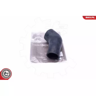 Gaine de suralimentation ESEN SKV 43SKV007