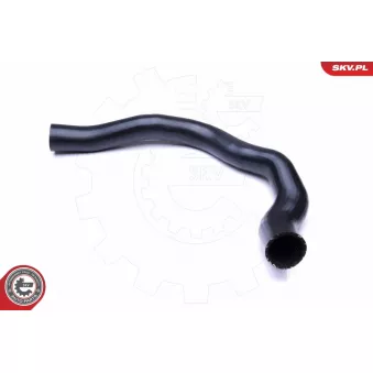 Gaine de suralimentation ESEN SKV 43SKV008