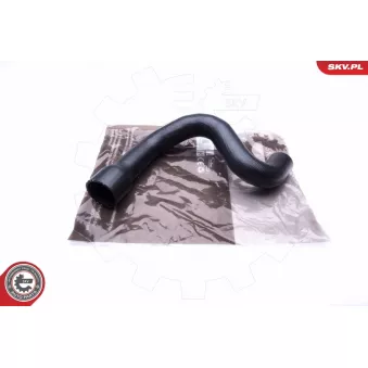 Gaine de suralimentation ESEN SKV 43SKV022