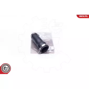 Gaine de suralimentation ESEN SKV 43SKV027