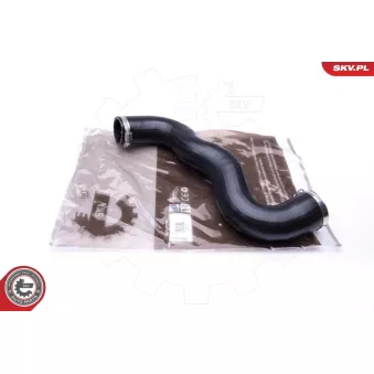 Gaine de suralimentation ESEN SKV 43SKV030