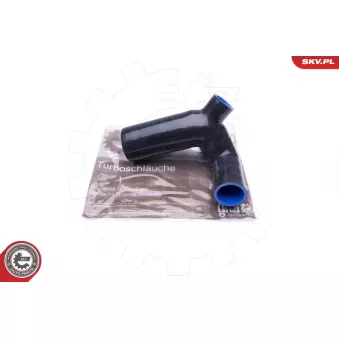 Gaine de suralimentation ESEN SKV 43SKV032