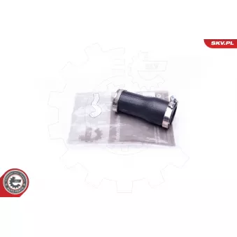 Gaine de suralimentation ESEN SKV