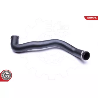 Gaine de suralimentation ESEN SKV 43SKV052