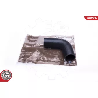 Gaine de suralimentation ESEN SKV 43SKV055