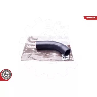 Gaine de suralimentation ESEN SKV 43SKV062